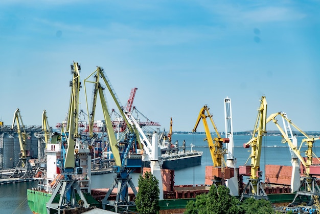 Grue portuaire portail dans le port Entreprise de logistique D'énormes grues et conteneurs journée d'été ensoleillée