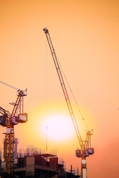 Des grues contre le ciel au coucher du soleil