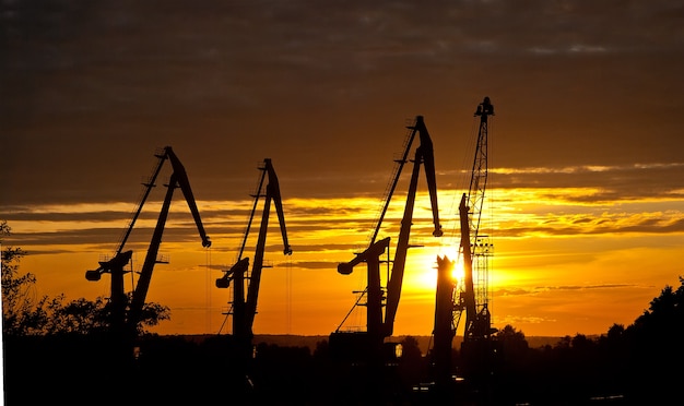 Grues dans un port