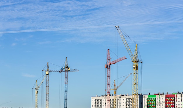 grues sur fond de ciel bleu