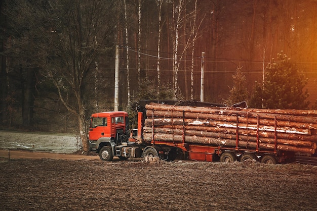 Grumes de tronc d'arbre chargées sur un camion