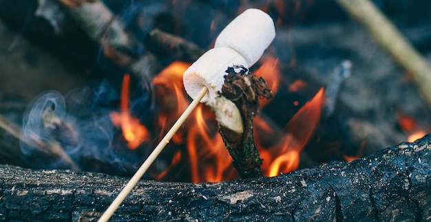 Guimauve sur un bâton au-dessus du feu Cuire des guimauves en feu