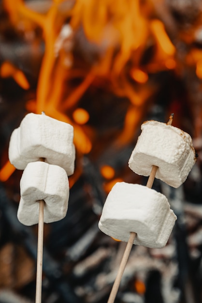 Guimauve sur un bâton frit sur le bûcher