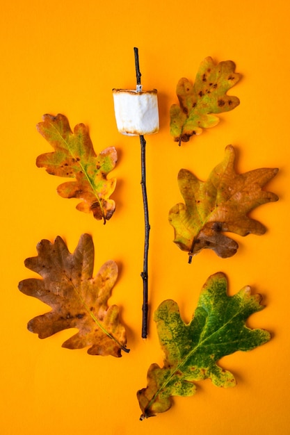 Guimauve rôtie sur bâton avec feuilles d'automne, anis, noix. Composition d'automne, ornement pour Thanksgiving. Vue de dessus, mise à plat