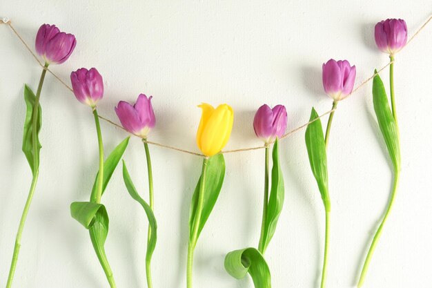 Guirlande créative avec des tulipes lilas sur fond blanc