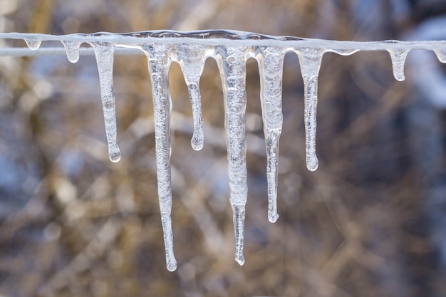 Guirlande de glaçons sur une corde en hiver.