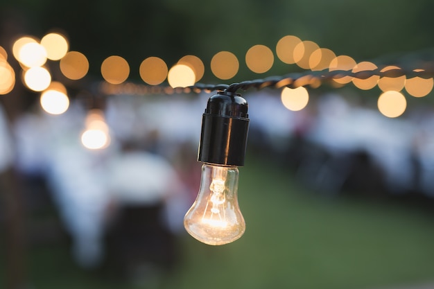 Guirlande lumineuse extérieure décorative accrochée à un arbre dans le jardin la nuit