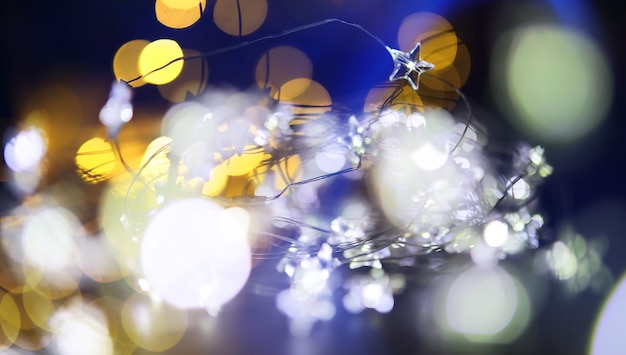 Guirlande de Noël de bouteilles en verre, bocaux avec une plante à l'intérieur. Concept de nouvel an et de Noël. Une guirlande d'ampoules avec une belle lumière et un bokeh