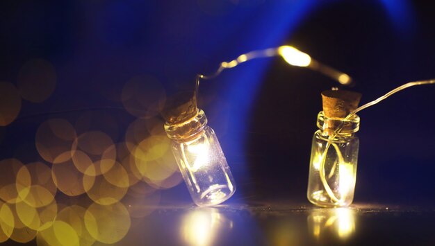 Guirlande de Noël de bouteilles en verre, bocaux avec une plante à l'intérieur. Concept de nouvel an et de Noël. Une guirlande d'ampoules avec une belle lumière et un bokeh