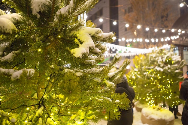 Guirlandes lumineuses sur l'arbre de Noël extérieur, décoration de la rue de la ville - sapins vivants en guirlandes. Noël et nouvel an, foire, humeur.
