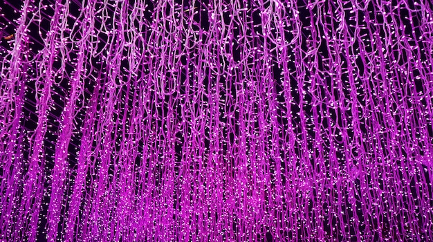 Guirlandes lumineuses violet vif pour fond ou bannière