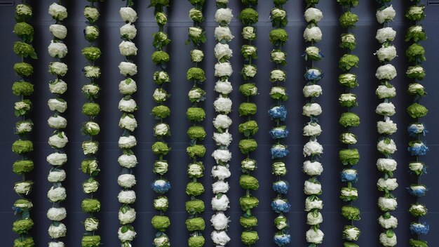 Photo des guirlandes vertes avec des fleurs blanches et bleues sont accrochées au mur.