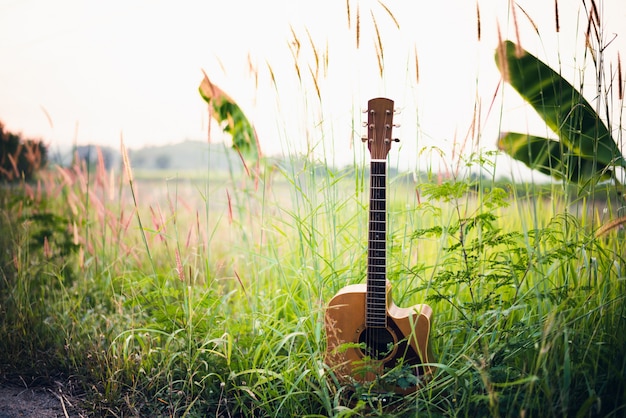 Photo guitare acoustique en bois se trouvant dans un champ d'herbe verte