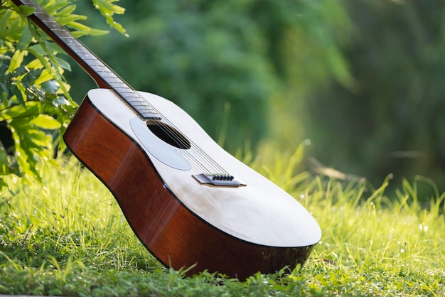 Guitare acoustique à l'extérieur sur fond de verdure Concept de musique calme