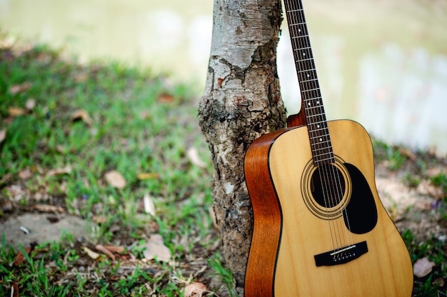 Guitare acoustique