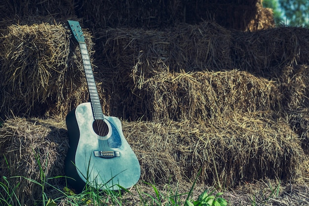 Guitare sur l&#39;herbe verte repose sur une souche