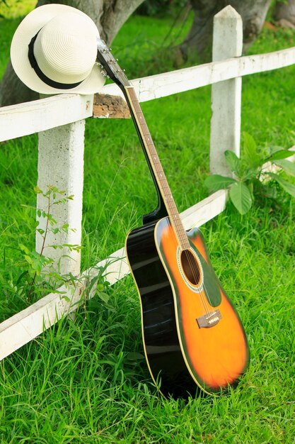 Guitare unique contre l&#39;herbe verte