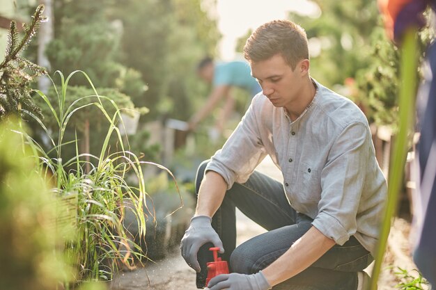 Guy jardinier pulvérise de l'engrais sur les plantes dans la magnifique pépinière par une journée ensoleillée. Travailler chez le jardinier.