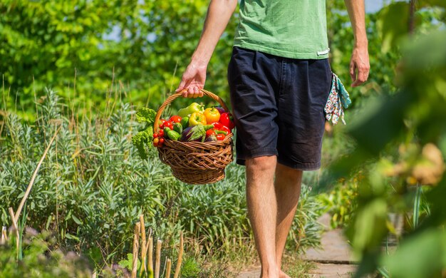 Photo guy porte un panier avec des légumes frais dans son jardin