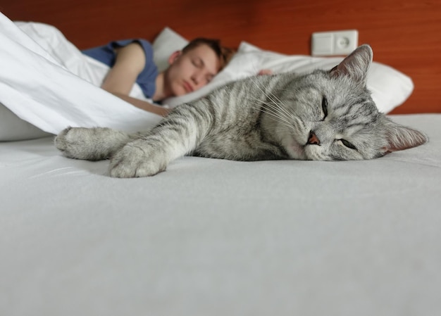 Guy se trouve sur le lit avec un chat Scottish Fold