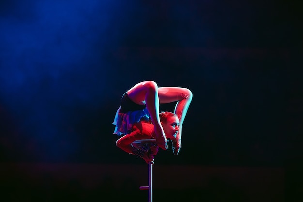 Une gymnaste aérienne montre une performance dans l'arène du cirque.