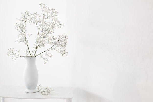 Gypsophile dans un vase blanc sur une vieille étagère en bois sur fond blanc