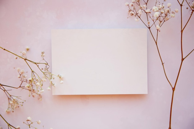 Photo gypsophile délicate et carte de papeterie fond beige intérieur scandinave vue de dessus concept de minimalisme féminin