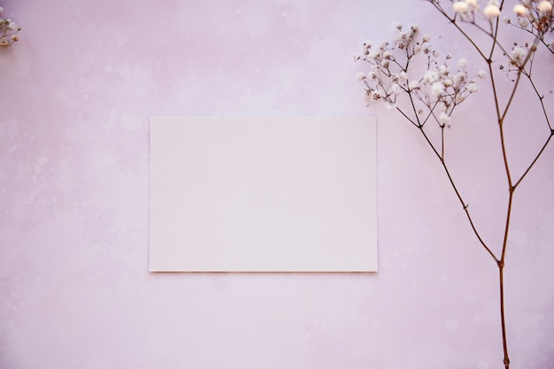 Gypsophile délicate et carte de papeterie Fond beige Intérieur scandinave Vue de dessus Concept de minimalisme féminin