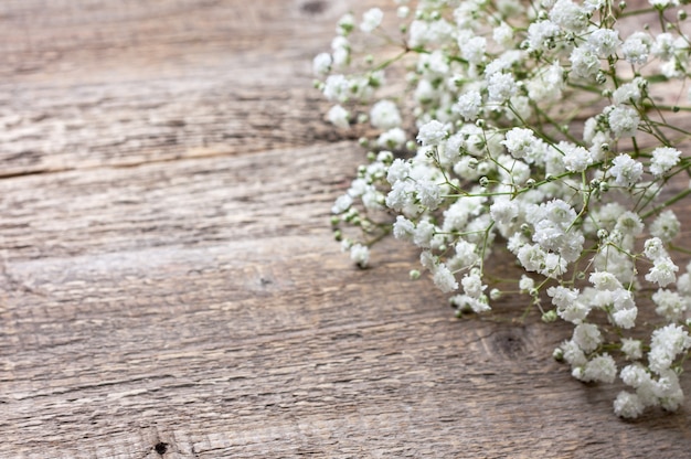 Gypsophile sur fond de bois ancien