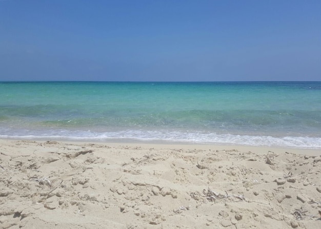 Égypte Côte Nord Plage Blanche