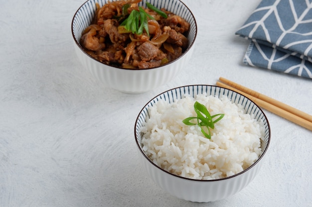 gyudonEnsemble de cuisine japonaise gyudon avec du bœuf et du riz