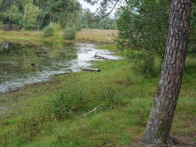 Haaksbergen aux Pays-Bas