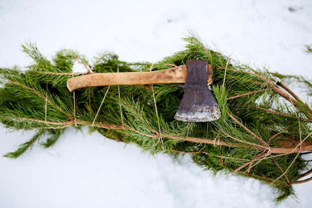 Photo hache sur les branches d'arbres de noël d'épicéa ou de pin coupés sur l'interdiction de déforestation du sol enneigé