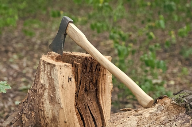 Hache coincée dans la forêt de souches d'arbres en bois