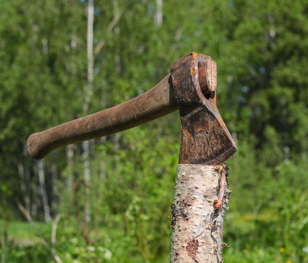 Une hache à courte distance sur un fond d'arbres floues