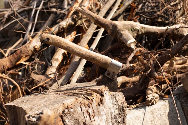 hache massive coincée dans un talon de hêtre avec des blocs de bois en arrière-plan