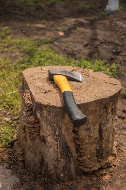 Une hache métallique posée sur une souche de bois