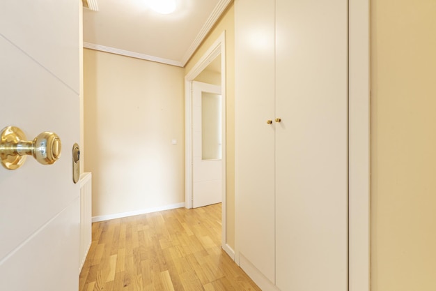 Hall d'habitation avec menuiserie en bois laqué blanc et accès à plusieurs pièces