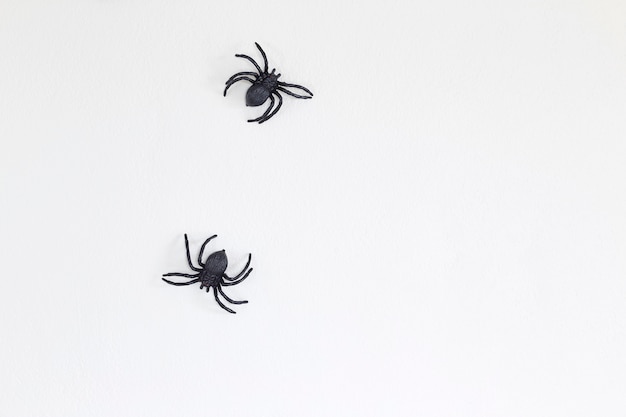 Halloween araignées noires sur le mur