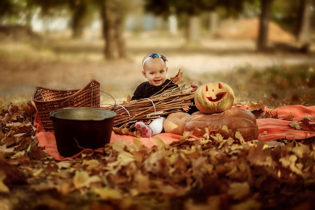 Halloween Fêtes et traditions nationales Conte de fées