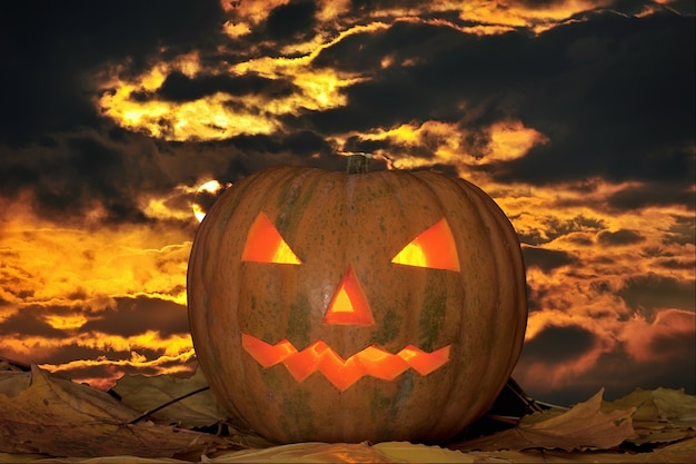 Halloween jack-o-lantern sur les feuilles d'automne