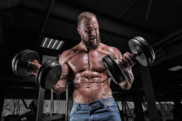 L'haltérophile professionnel s'entraîne dans le gymnase. Haltère Curl. Concept de musculation.