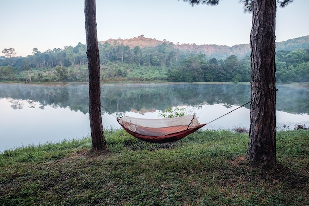 Hamac attaché à l'arbre sur le réservoir côtier