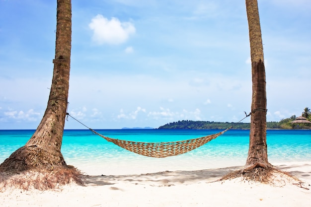 Hamac entre palmiers sur la belle plage tropicale