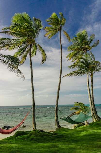 Hamac à l'ombre du palmier sur la plage tropicale