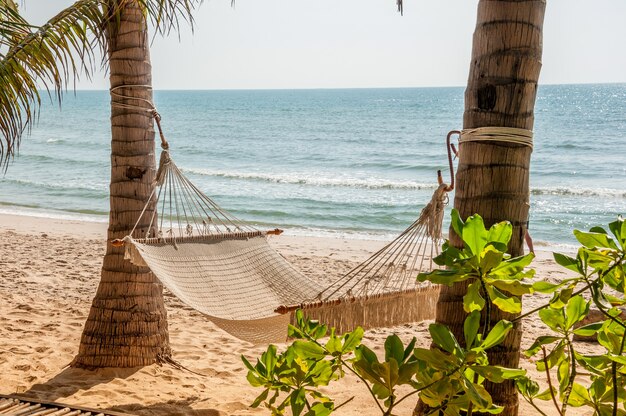 hamac sur la plage tropicale