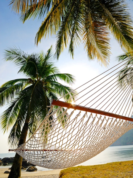 Hamac sur une plage tropicale