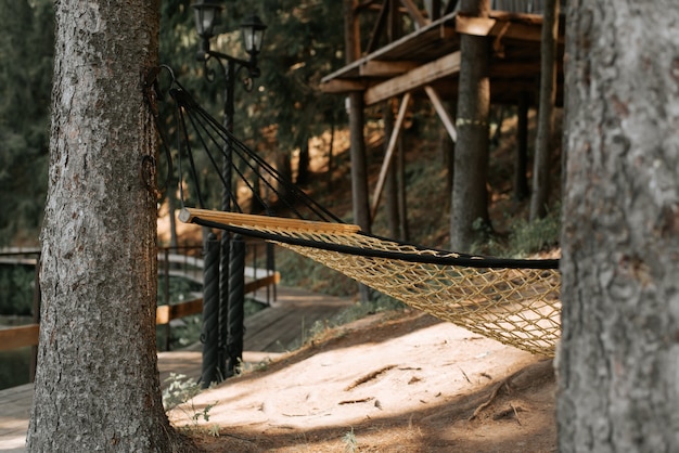 Hamac suspendu dans les bois dans la nature. Aire de loisirs en plein air. Mise au point sélective
