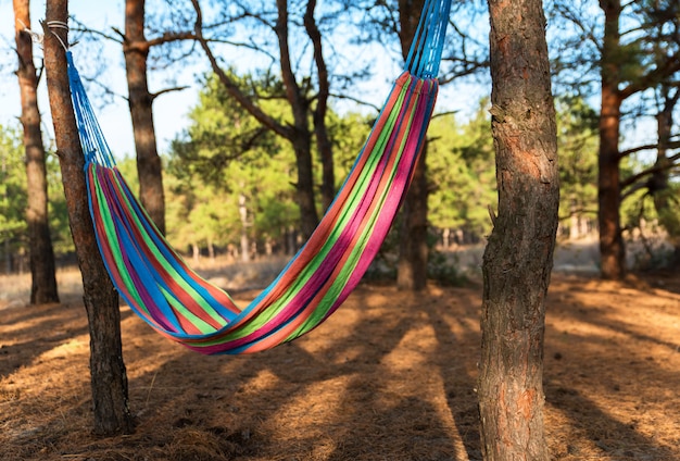 Un hamac en textile suspendu entre deux pins