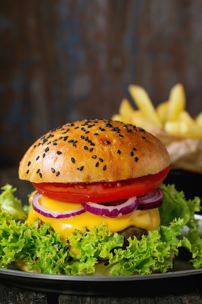 Hamburger maison avec frites